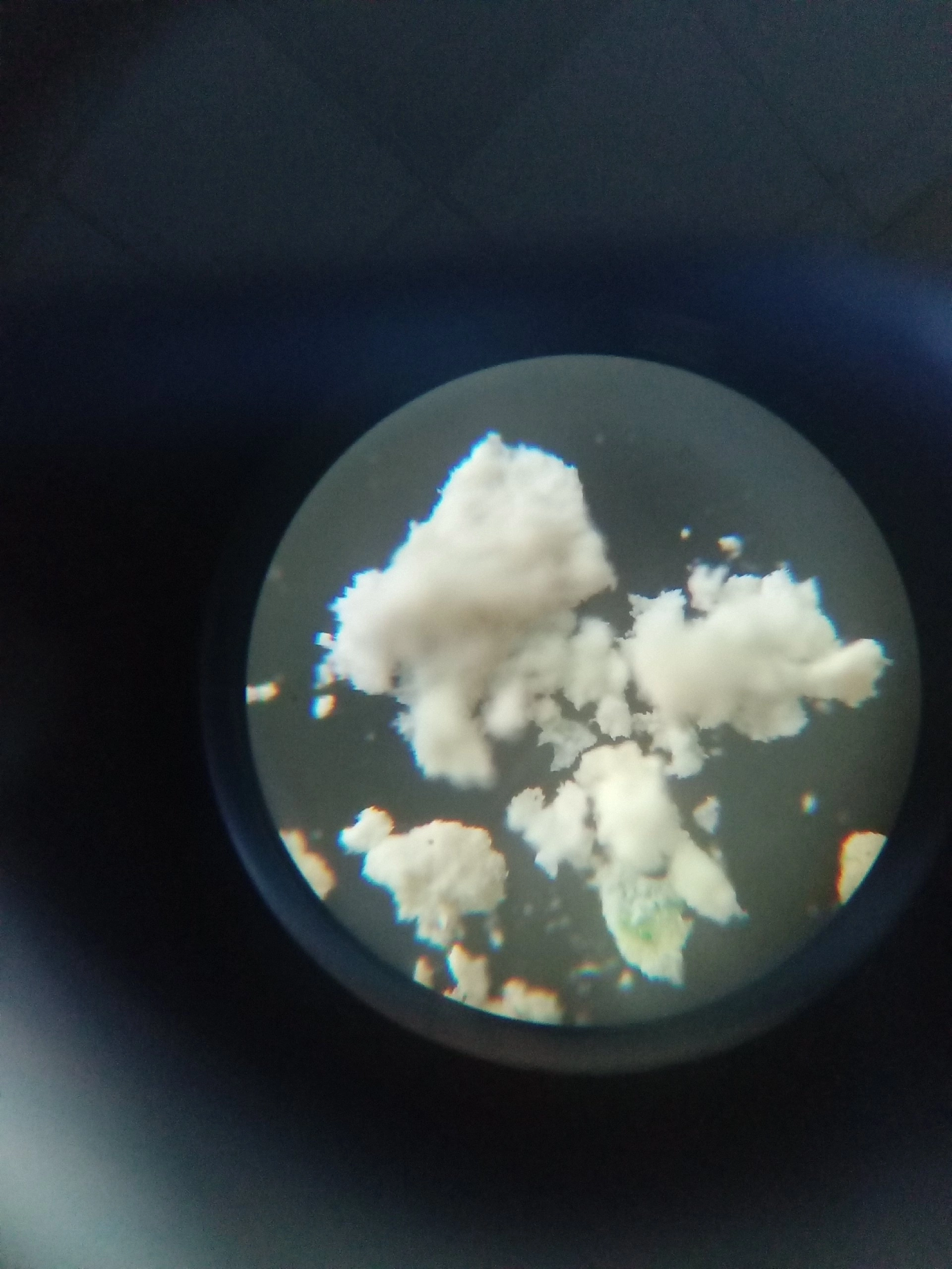 image-13-01-25-10-01-13.png